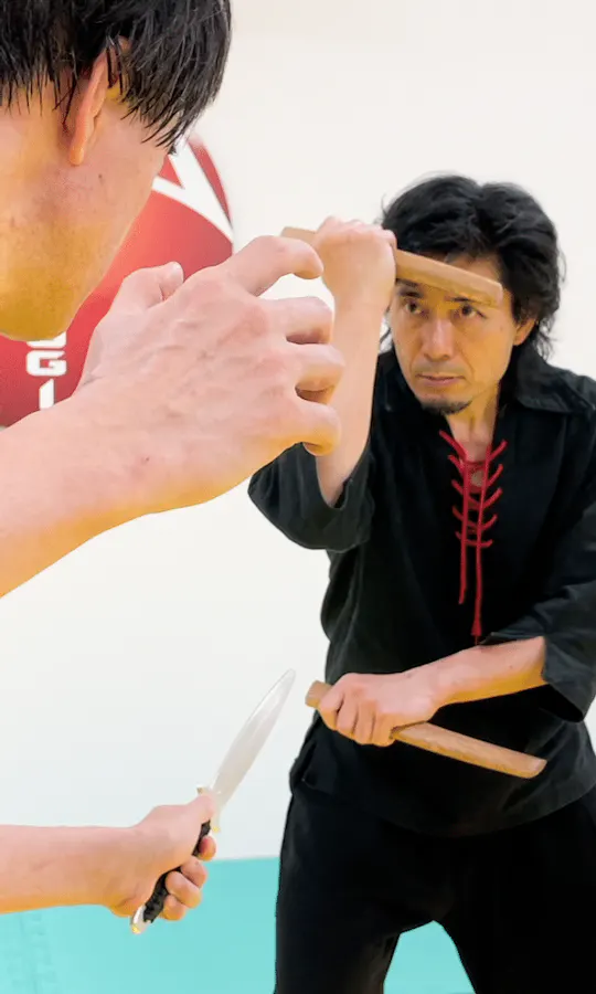 Tsurugi Goshin-Budo Tsurugi Goshin-Budo