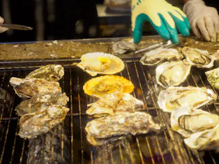 Oysters and a scallop are being grilled on a barbeque. A person wearing yellow and green gloves is handling the seafood, while another hand holds a knife nearby.