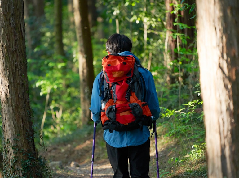 Morning Hiking Tour: Mt. Futaba & Hiroshima's History (Breakfast Included)