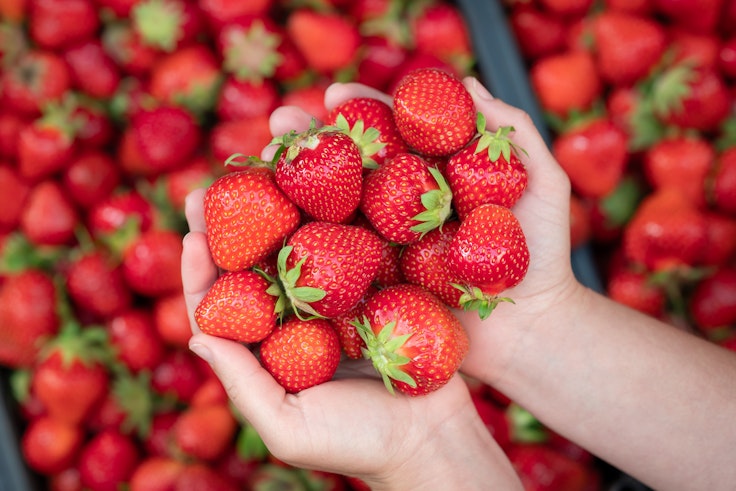 Strawberries