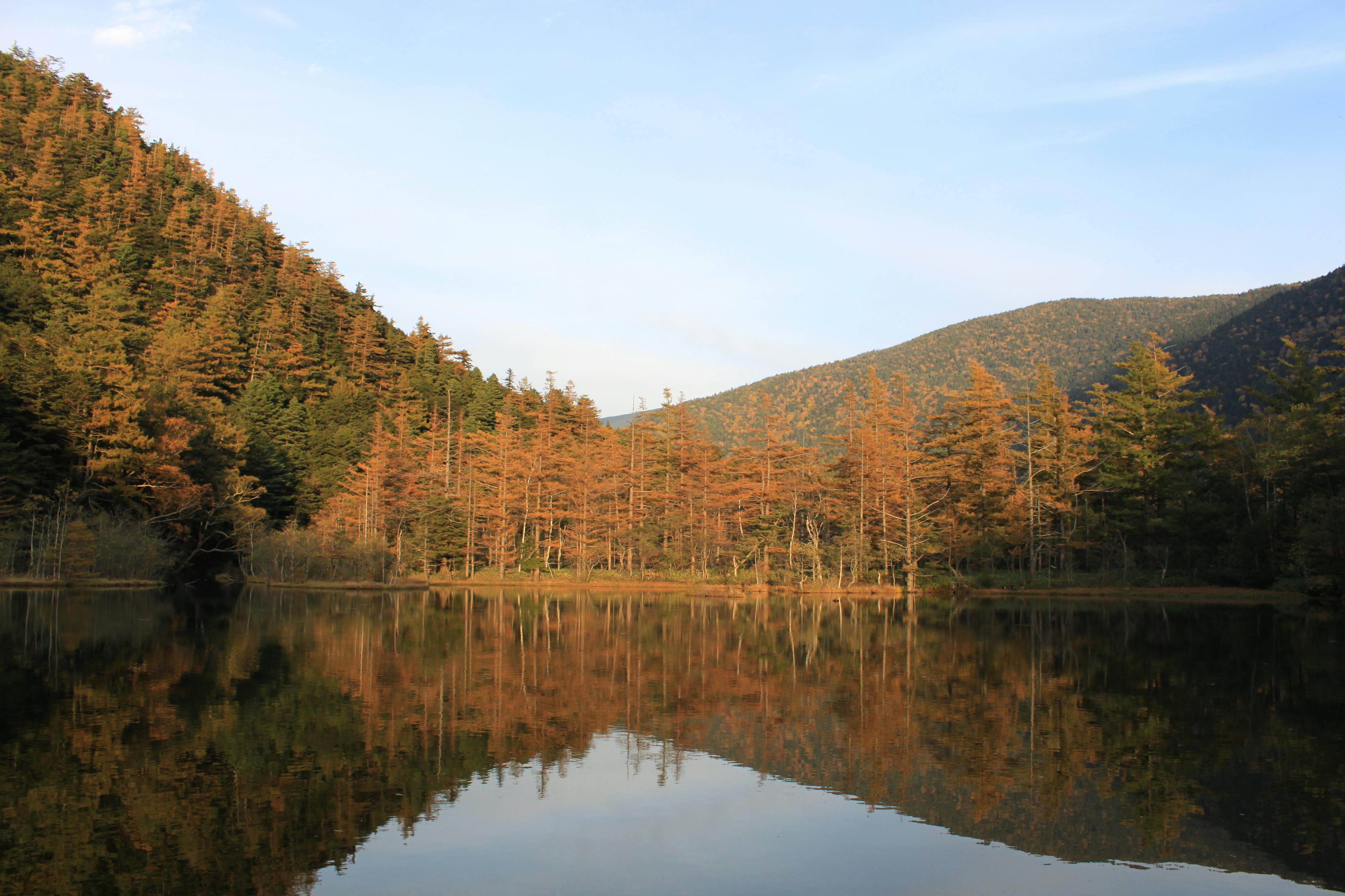 A calm lake reflects autumn trees and forested hills under a clear blue sky, creating a mirror-like image of the landscape.