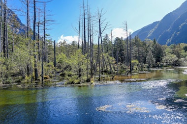 Dakesawa Marshland