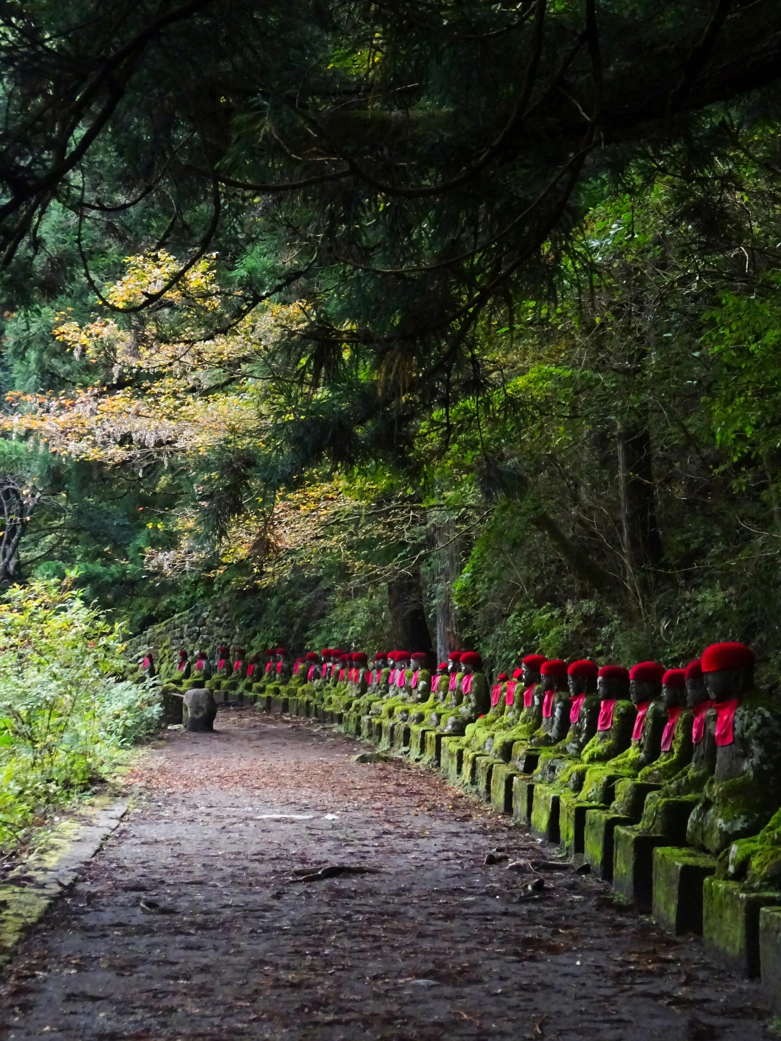 Takino Shrine in Nikko: History, Location & Tips - Trip To Japan