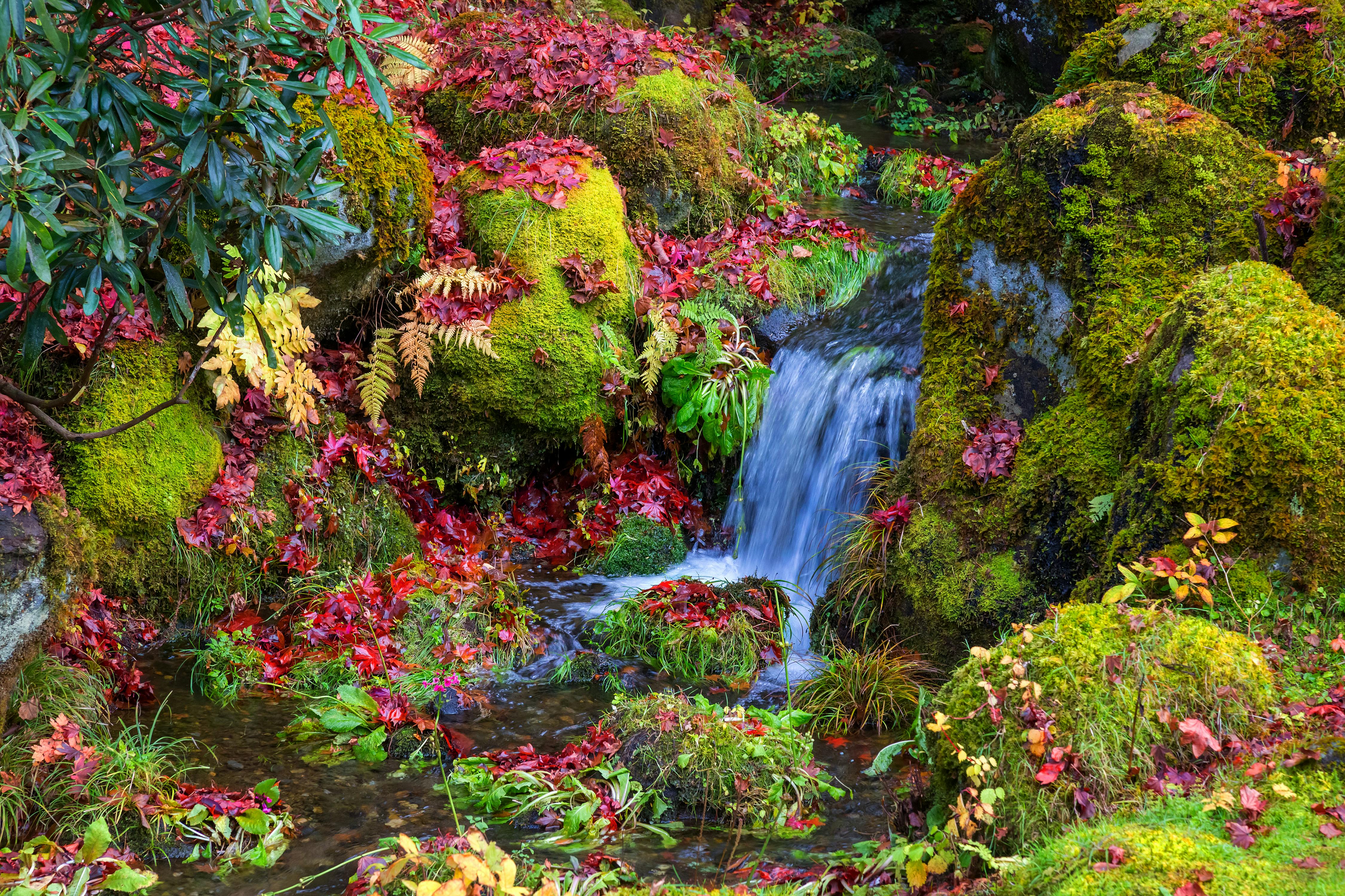 Tamozawa Imperial Villa Memorial Park