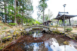 A small stone bridge arches over a reflective pond surrounded by trees and moss in a tranquil Japanese garden. A traditional pavilion is seen on the right, with wooden structures and benches nearby.