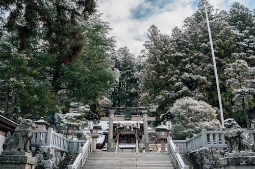 Stone steps lead up to a traditional Japanese shrine surrounded by tall trees dusted with snow. Lion-dog statues guard the entrance, and paper lanterns hang near a wooden torii gate under a partly cloudy sky.