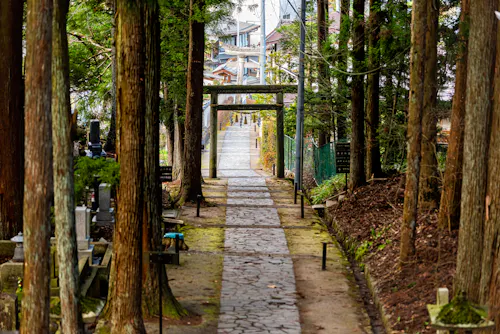 A stone path lined with tall trees leads to a distant torii gate in a peaceful, wooded area, with buildings visible in the background.