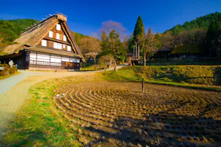 A traditional Japanese thatched-roof house stands beside a bare, circular rice field with concentric rows, surrounded by green trees under a clear blue sky.