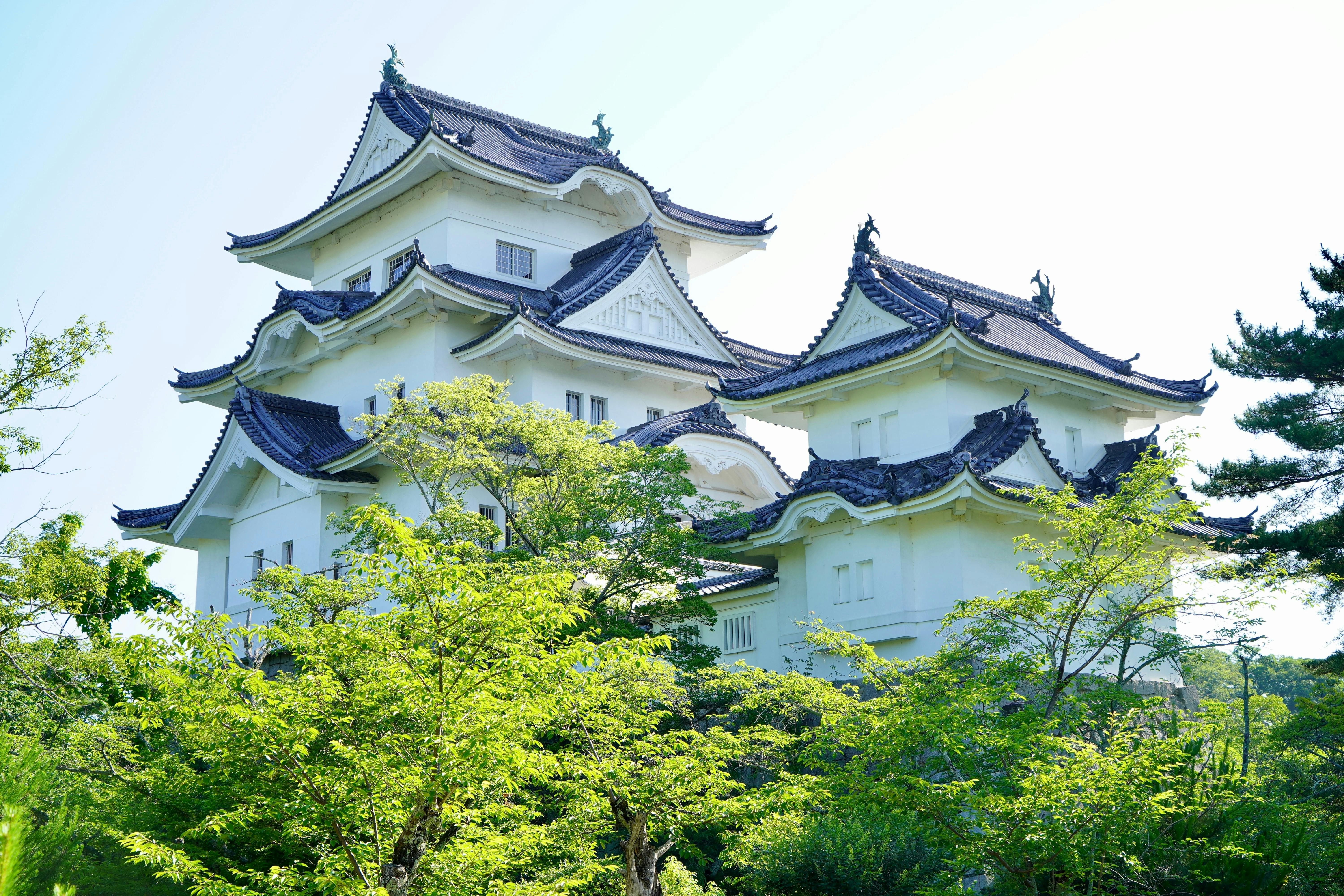 Iga Ueno Castle