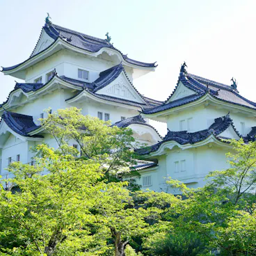 Iga Ueno Castle Iga Ueno Castle