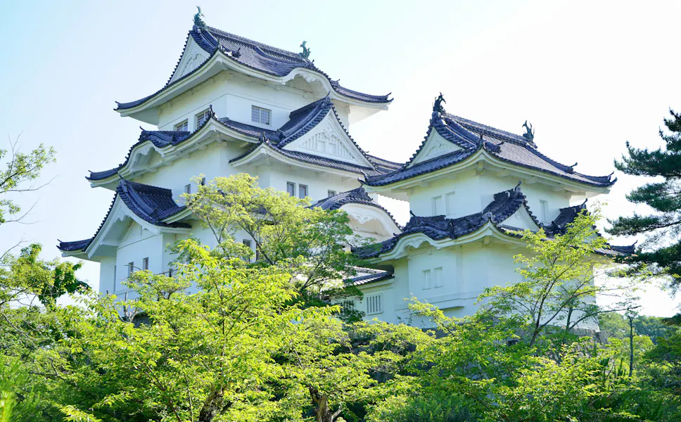 Iga Ueno Castle Iga Ueno Castle