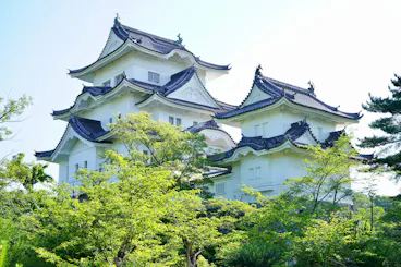 Iga Ueno Castle