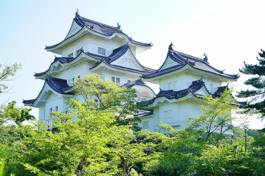 Iga Ueno Castle