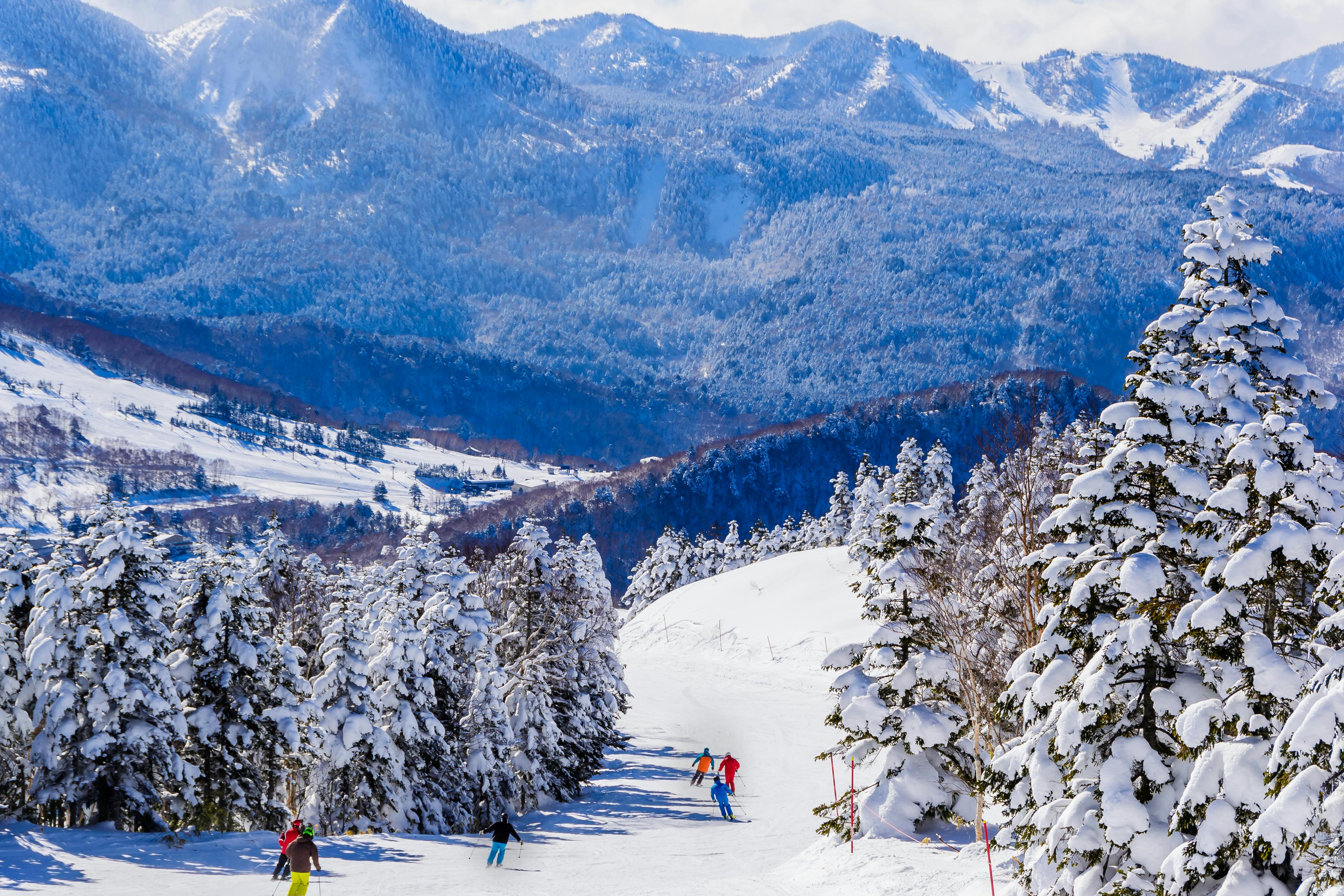 Skiers descend a snowy mountain slope lined with snow-covered trees, with a vast mountain range and forested hills visible in the background under a partly cloudy sky.