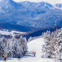 Shiga Kogen Shiga Kogen