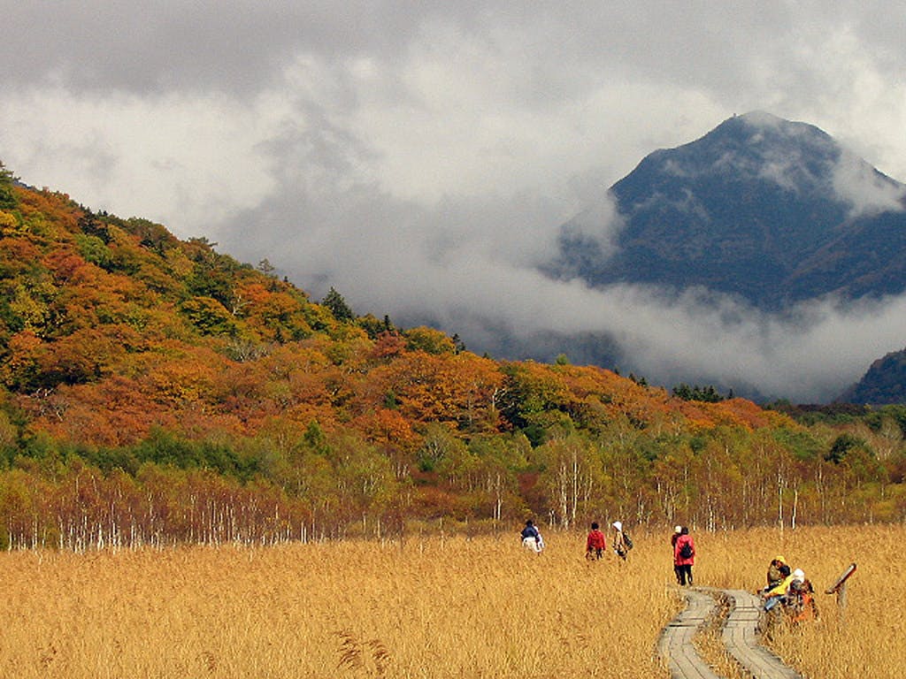 A group of hikers walk along a wooden path through tall golden grass, surrounded by autumn trees and mountains partially covered in clouds.