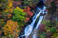 A waterfall cascades down rocks surrounded by vibrant autumn foliage in shades of green, yellow, orange, and red.