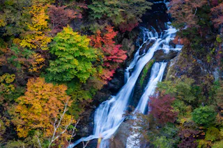 A waterfall cascades down rocks surrounded by vibrant autumn foliage in shades of green, yellow, orange, and red.