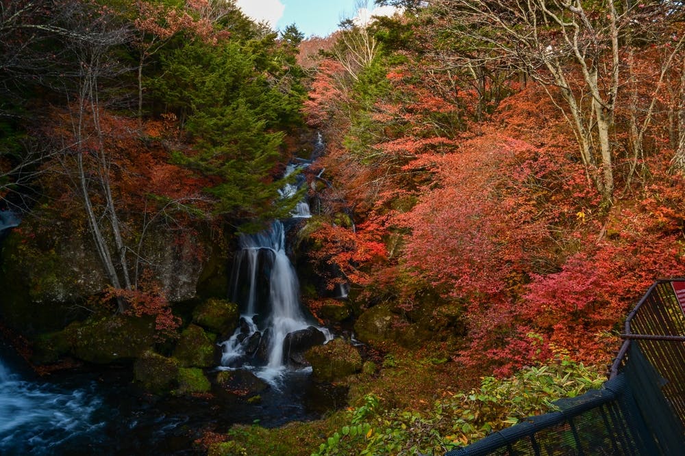 A waterfall flows through a lush forest filled with vibrant autumn foliage in shades of red, orange, and green, with a metal railing visible in the bottom right corner.