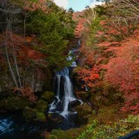 Ryuzu Waterfall A waterfall flows through a lush forest filled with vibrant autumn foliage in shades of red, orange, and green, with a metal railing visible in the bottom right corner.