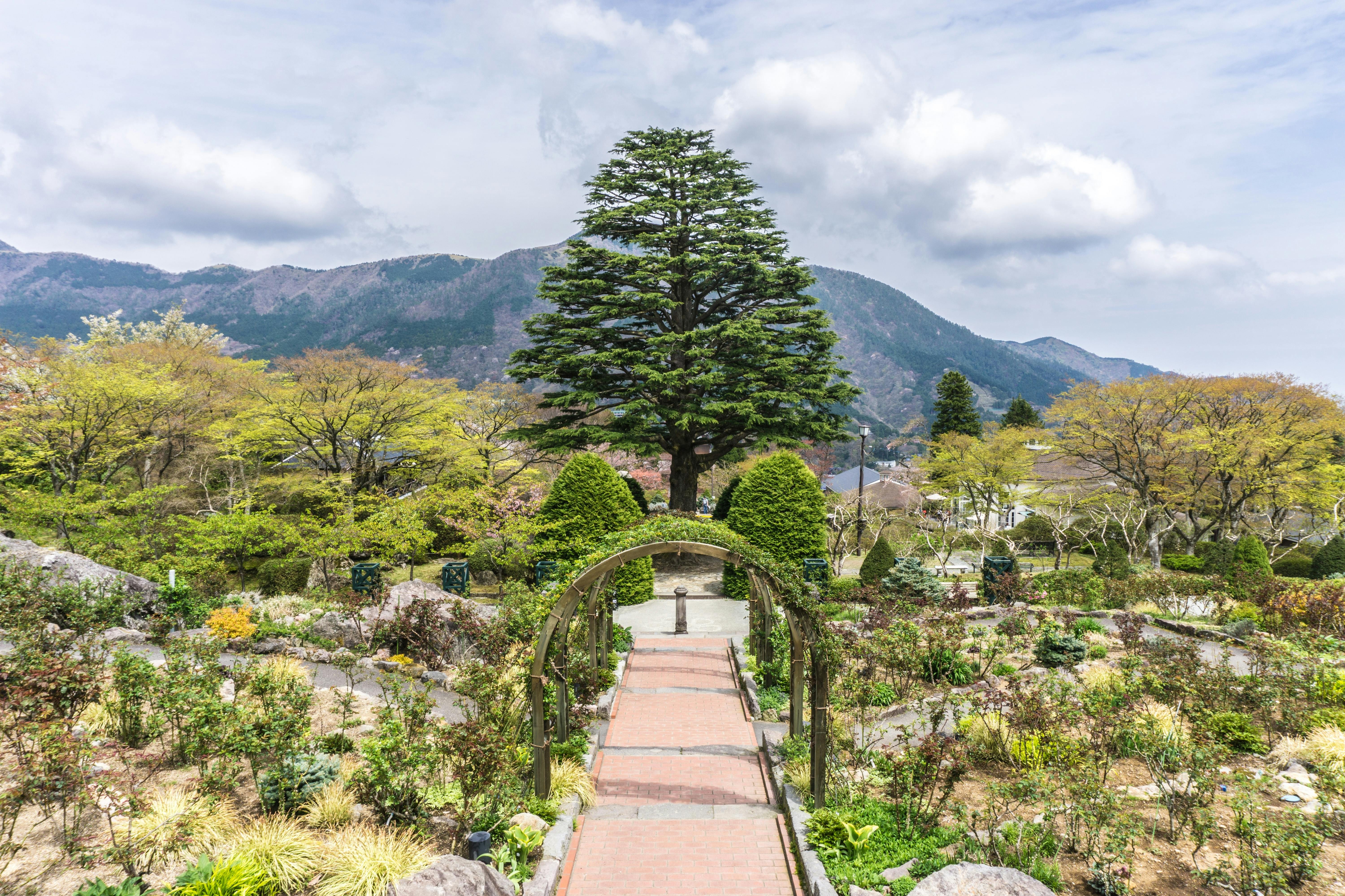 A brick pathway with a green archway leads through a garden filled with bushes and trees, with mountains and a partly cloudy sky in the background. A tall tree stands prominently at the path's end.