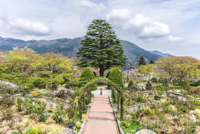 A brick pathway with a green archway leads through a garden filled with bushes and trees, with mountains and a partly cloudy sky in the background. A tall tree stands prominently at the path's end.