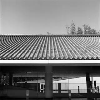 A black and white photo of a traditional tiled roof above a modern glass building. Reflections and columns are visible below the roof, and trees can be seen in the background above the roofline.