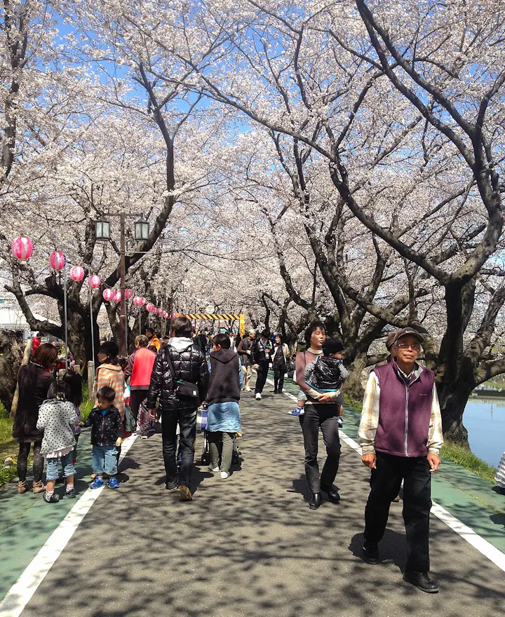 Gojo River Gojo River
