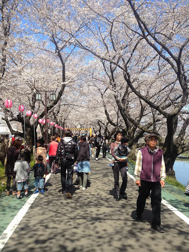Gojo River