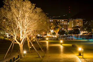 A paved path winds through a park at night, lined with illuminated trees and streetlights. In the background, city buildings glow with lights, and distant hills are faintly visible.