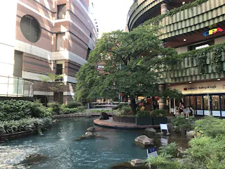 A modern urban plaza with a large tree at the center, surrounded by a pond, rocks, and lush plants. Buildings with shops and balconies line the background. People walk near the water and greenery.