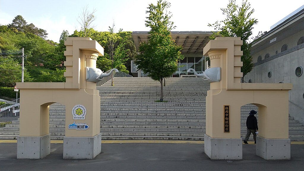 Entrance to a building with wide stone steps, flanked by two cream-colored pillars featuring large white elephant sculptures. A person walks nearby and lush green trees are in the background.