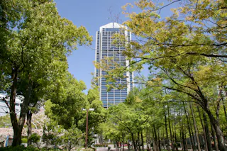 Kobe City Hall Observation Deck