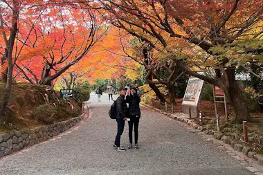 Kyoto Tour