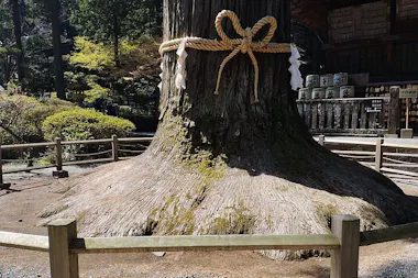 Mount Fuji Tour