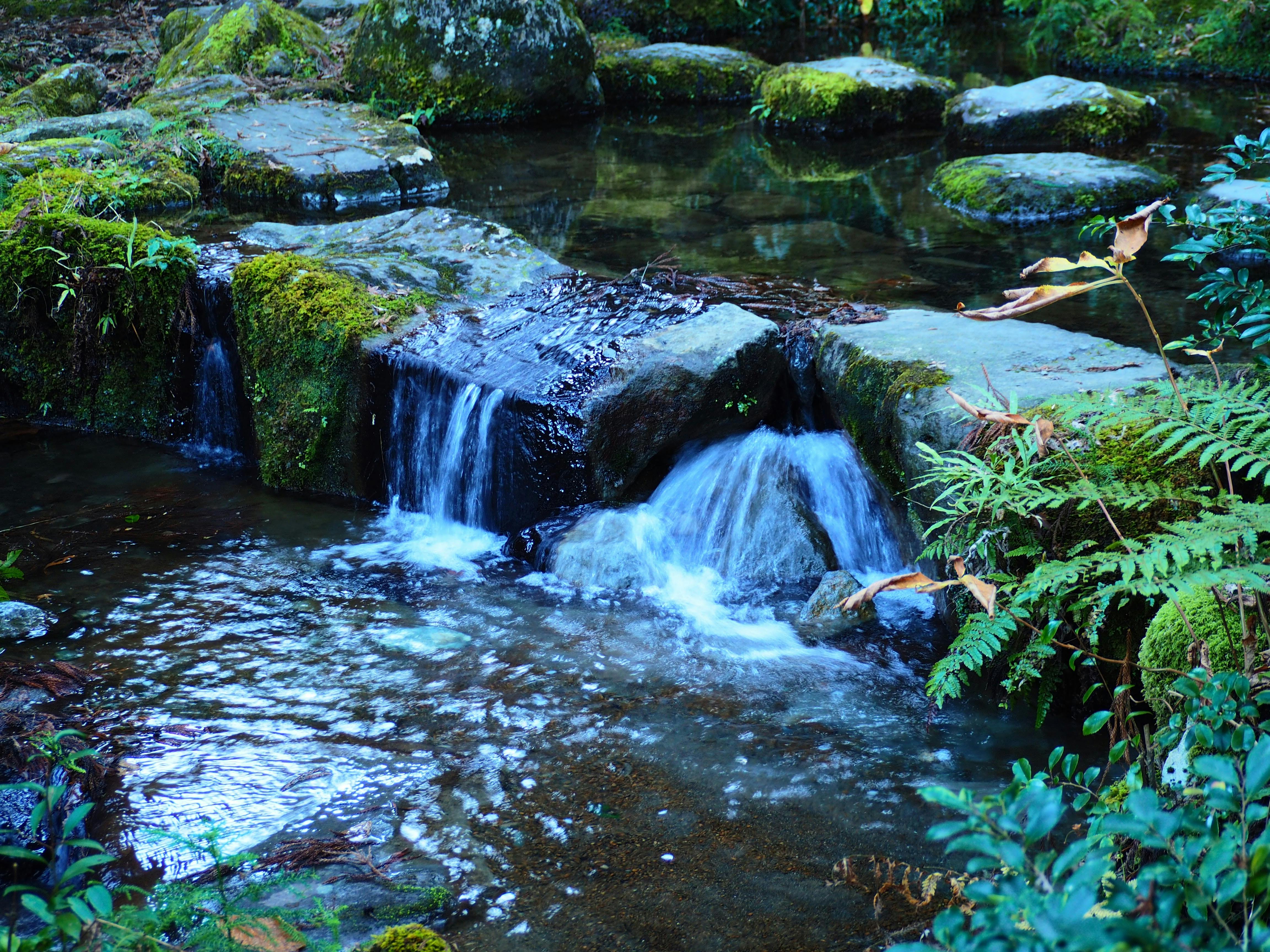 Daiyūzan Saijo-ji Temple