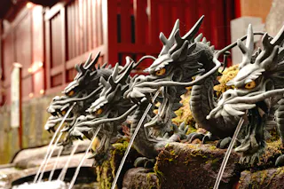 A row of intricately carved dragon statues with fierce expressions spout streams of water from their mouths at a traditional Japanese temple, with red wooden structures in the background.