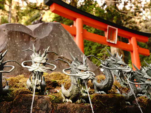 Kuzuryu Shrine Hongu Stone dragon statues with open mouths spout water in front of a mossy rock and a bright red torii gate, surrounded by lush green forest.