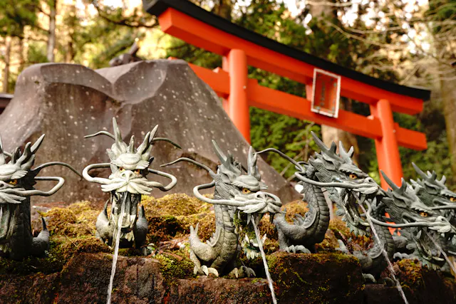 Stone dragon statues with open mouths spout water in front of a mossy rock and a bright red torii gate, surrounded by lush green forest.