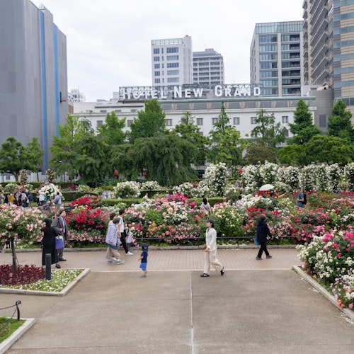 Yokohama City Yokohama City