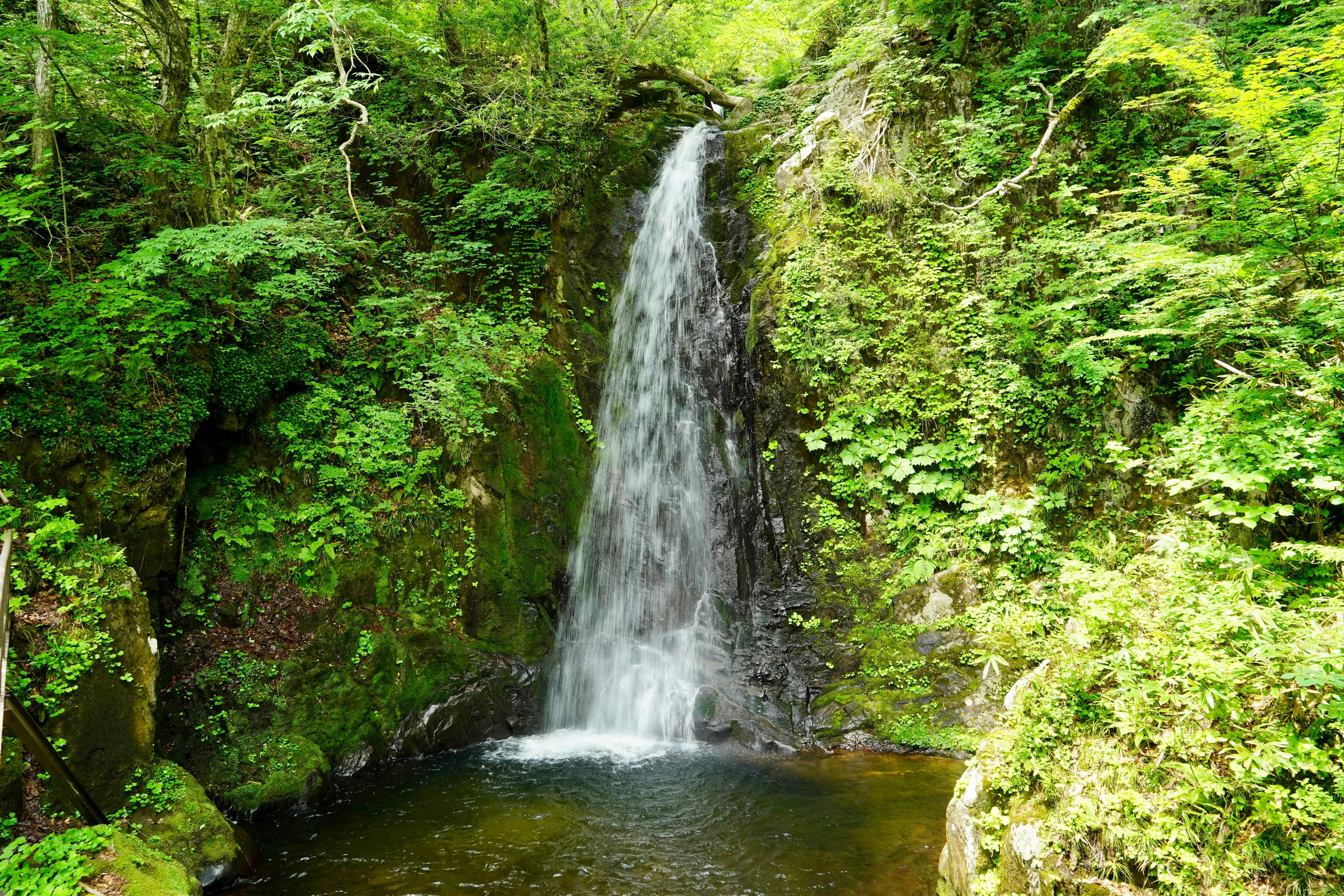 Bronze/Orange Road/Waterfall 永井博 一十三十一 Ibaraki's Three Famous Fall Foliage Viewing Spots] Fukuroda