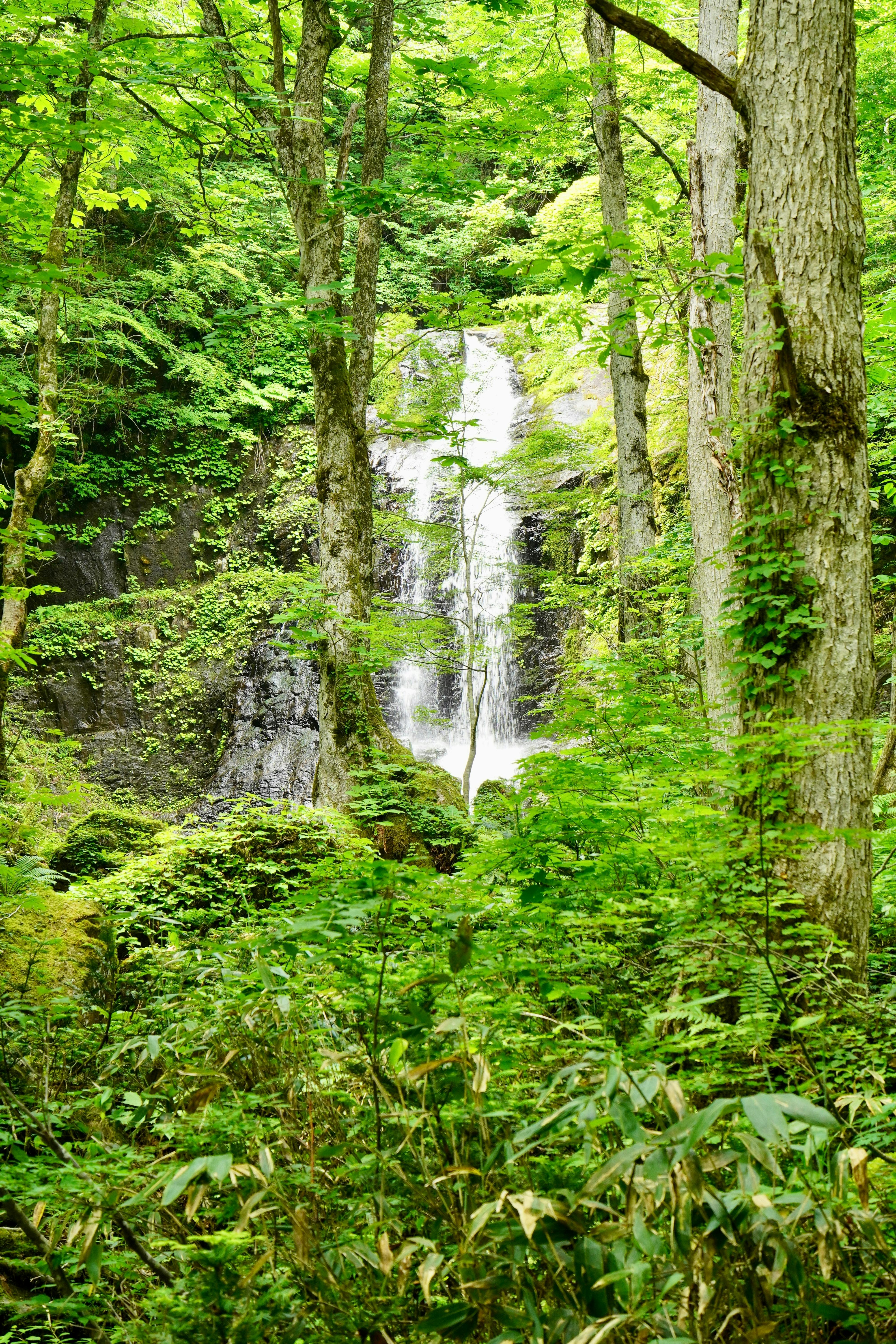 Utsue Forty-Eight Waterfalls Prefectural Park - Trip To Japan