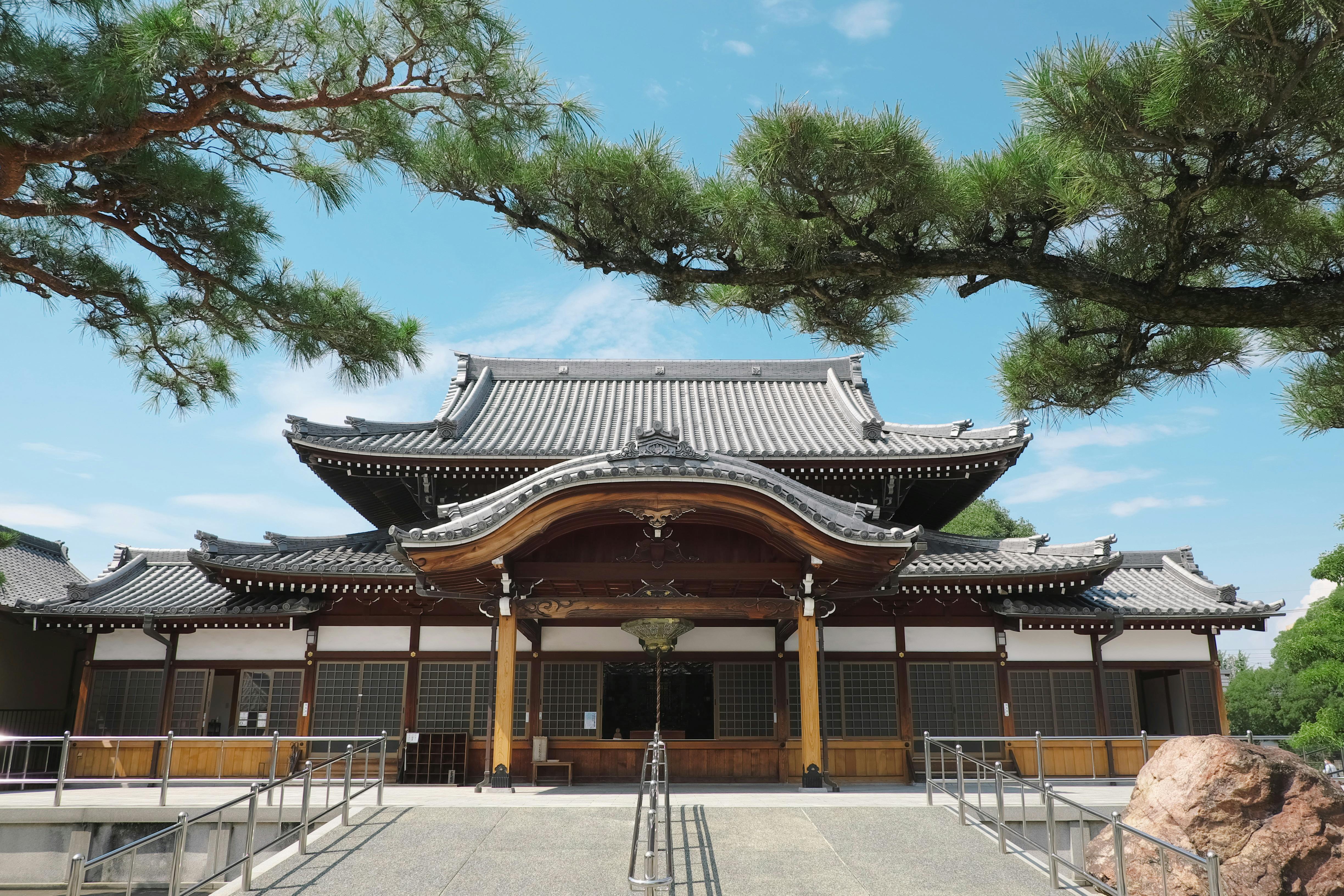 A traditional Japanese temple with an ornate, curved tiled roof and wooden facade, framed by green pine tree branches under a bright blue sky.
