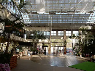 Spacious indoor atrium with tall glass ceilings, large windows, tropical plants, wooden floors, scattered seating areas, and a few people walking or sitting under natural sunlight.