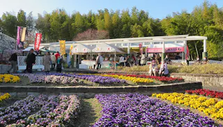Colorful flower beds with purple, yellow, and red blooms in the foreground; people walking and sitting near a market area with banners and food stalls; trees and a blue sky in the background.