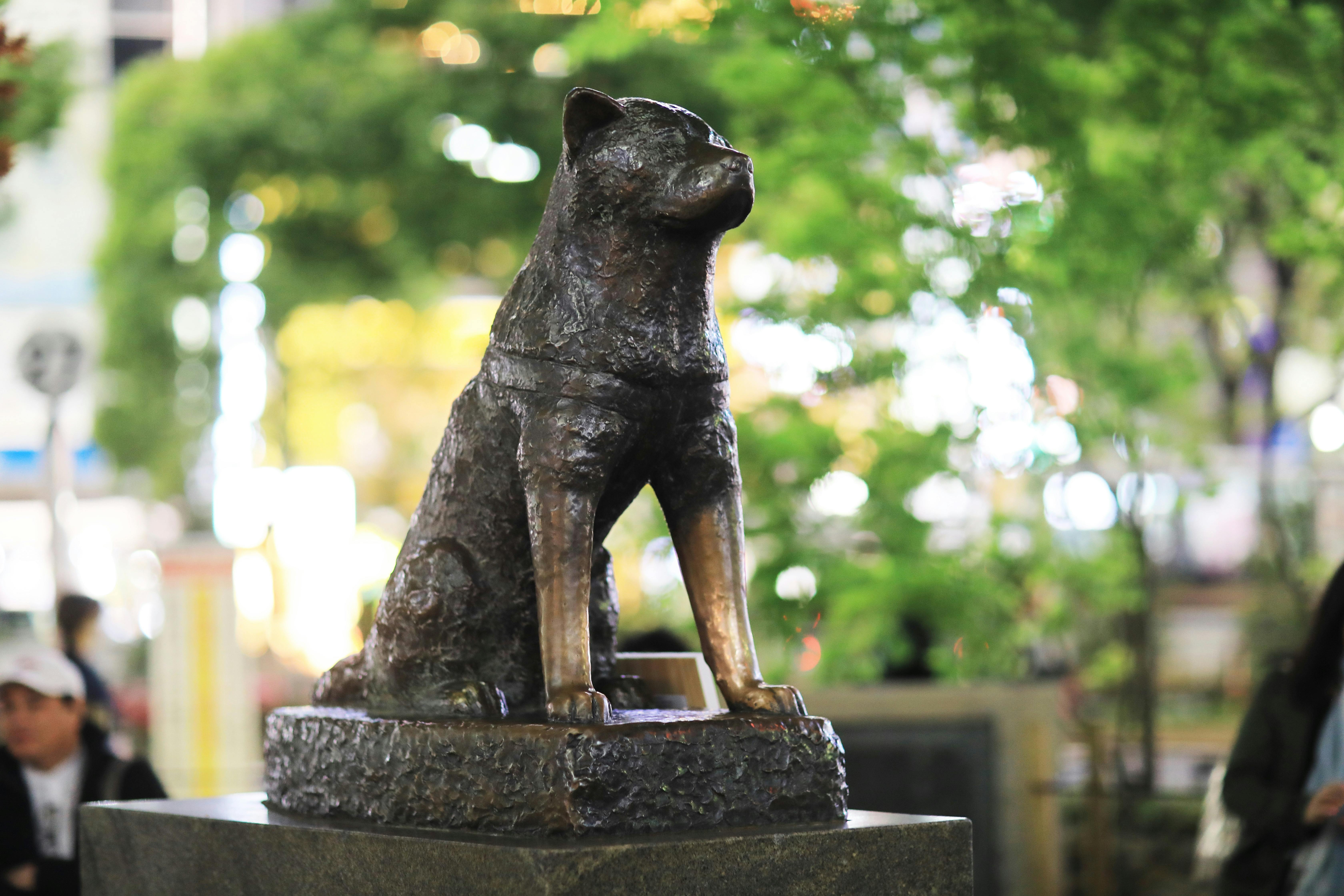 TTD 17230【⭐︎ 忠犬ハチ KOH様⭐︎】【美品・数量限定】 忠犬ハチ公铜像- Trip To Japan