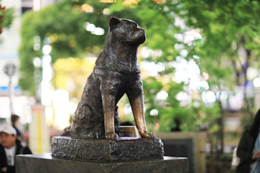 Hachiko Statue