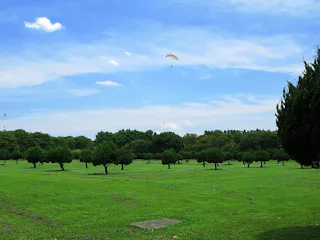 A wide grassy field with small trees scattered throughout, under a blue sky with light clouds. A paraglider is seen flying high above the trees in the distance.