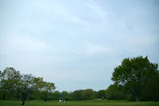 A wide, grassy park with scattered trees under a cloudy sky. A person walks in the left foreground, while a small group of people sits in the distance near the center of the image.