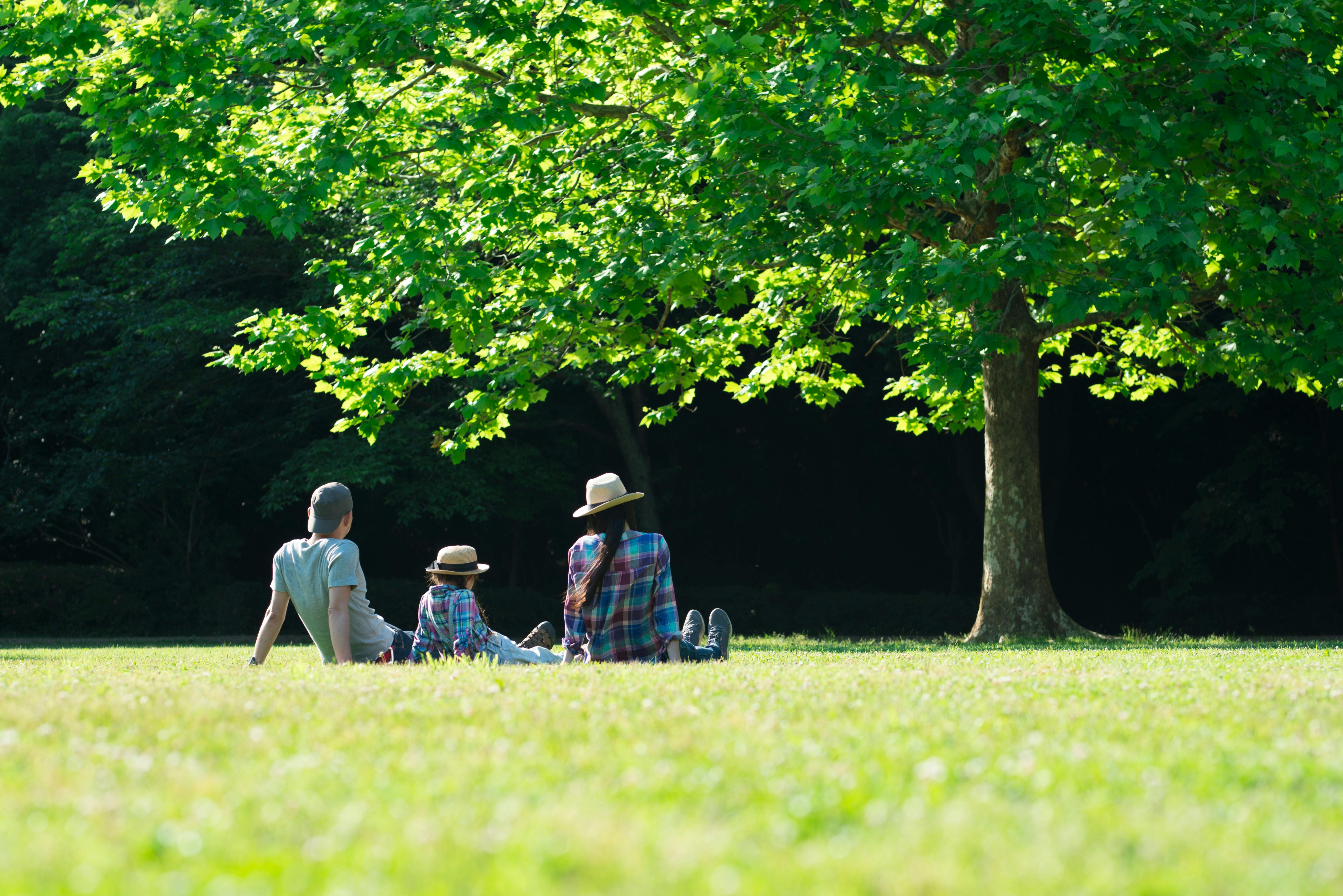 Three people, wearing hats, sit on grass under a large leafy tree in a park, enjoying the shade and sunlight. The scene is peaceful and green, with trees in the background.
